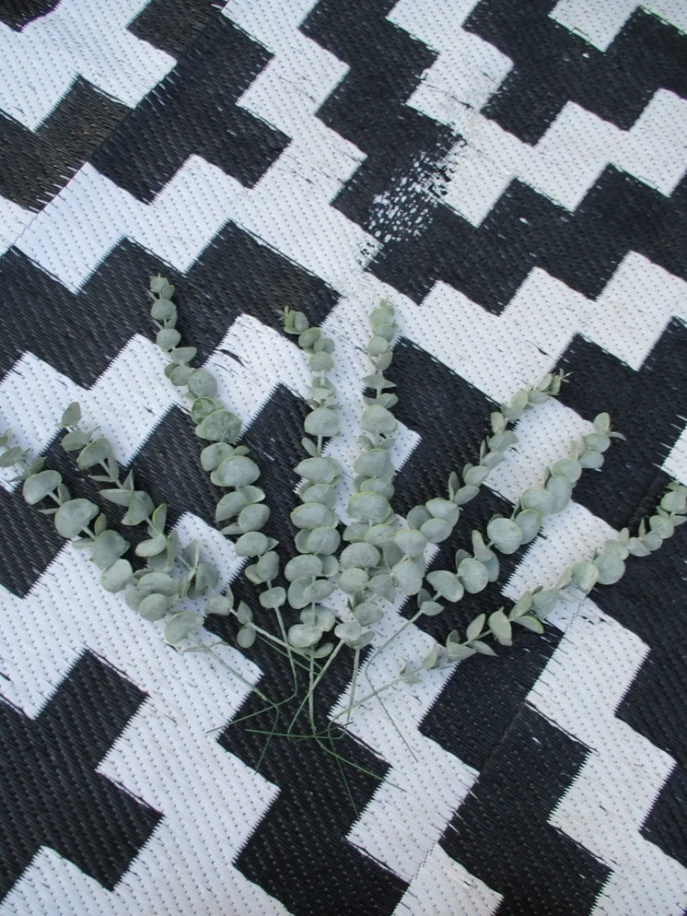 Faux Eucalyptus Stem Bundle - Sage Green